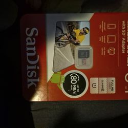 SanDisk Ultra Plus With Adapter