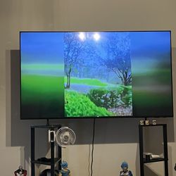 55inch Smart Tv Less Then 4 Month Old 