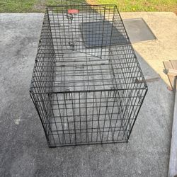 Dog Crate w/ Extras