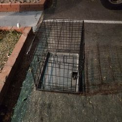 Small Dog Kennel
