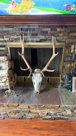 Elk head decor