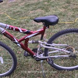 Next “Power X” Mountain Bike 
