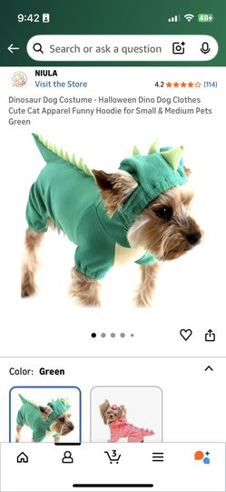 Dino dog costume