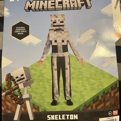 MINECRAFT Skeleton Custom