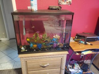 Fish Tank