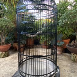 Black bird Cage 