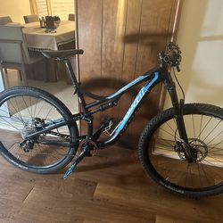 Specialized Stumpjumper 29