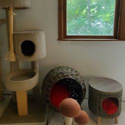 Huge Lot Of Cat Trees And Bed 