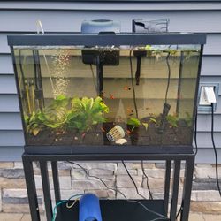 20 Gallon Fish Tank And Stand (Complete)