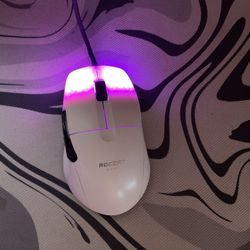 Gaming Setup For Sale 