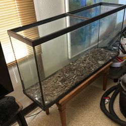 Fish Tank Or Reptile Tank