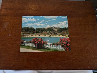 Vintage Hershey Rose Gardens Garden Scene Postcard