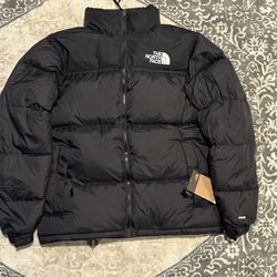 The North Face Nuptse 700 Down Jacket
