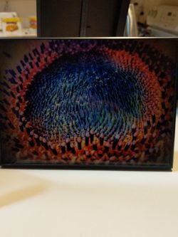 Edited Picture Of Sunflower: Rainbow Sunflower