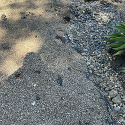 FREE Pea Gravel & Small Rocks. 