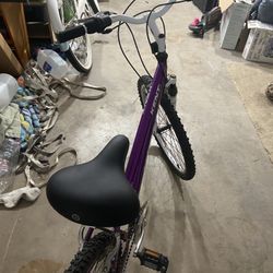 Mountain Bike (terra)