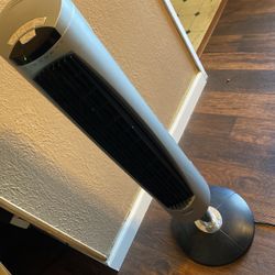 Standing Tall Fan