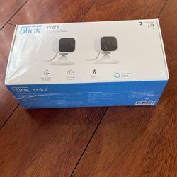 Blink mini