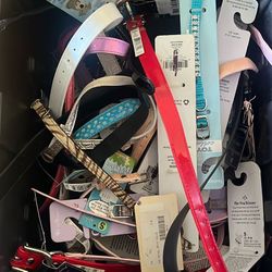 Dog Collars