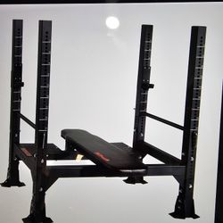 Bench Press With Fitness Gear 300 LB