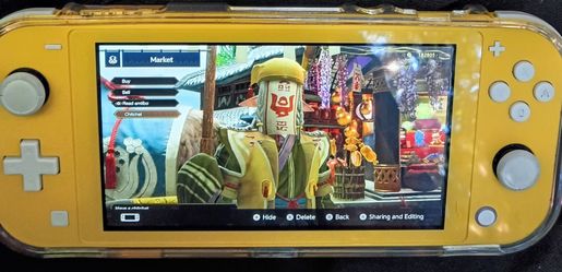 Nintendo Switch lite