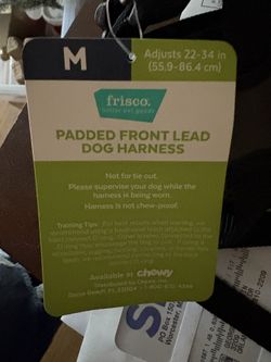 TWO NEW SETS : PADDED HARNESS AND LEASH