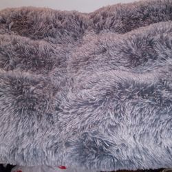 Large Grey Dog Bed - New $15