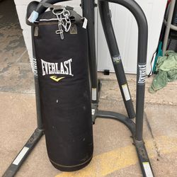 Punching Bag 