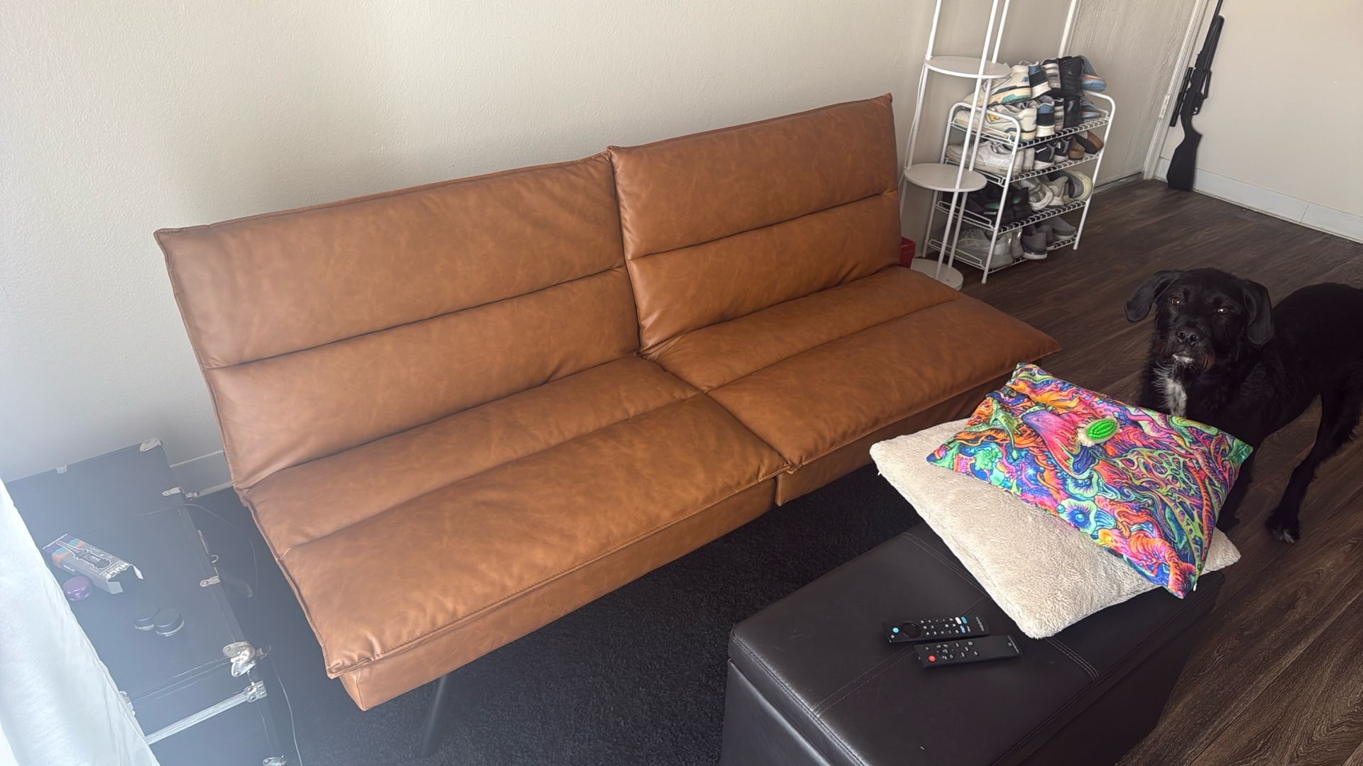 Futon Couch