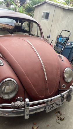 60 ve bug
