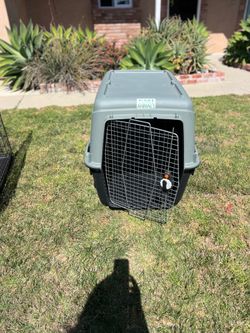 XL Airline Crate Used One Way Trip