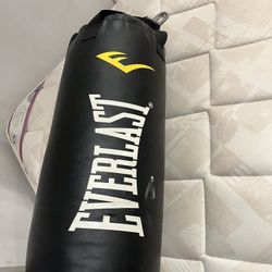 Everlast punching Bag 