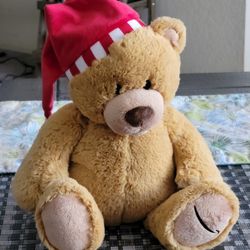 Gund 2017 Annual Amazon Teddy Bear Plush LIMITED EDITION 13”