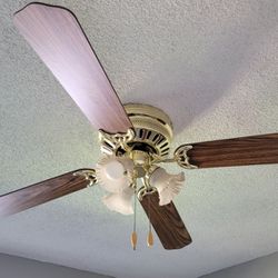  Ceiling Fan