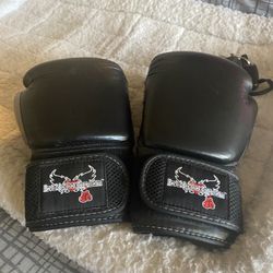 Boxing Gloves 
