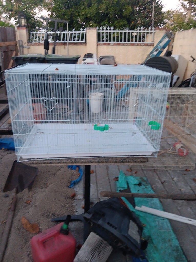 Bird Cage
