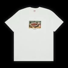 SUPREME STRAWBERRIES TEE SIZE MEDIUM