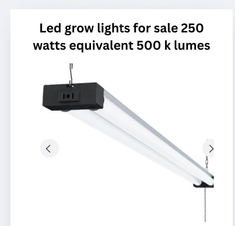 Complete Indoor Lettuce Growing Kit ONLY $49 ORDER NOW!!!