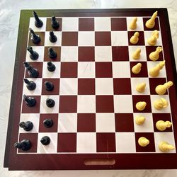 Chess ♟️ game set
