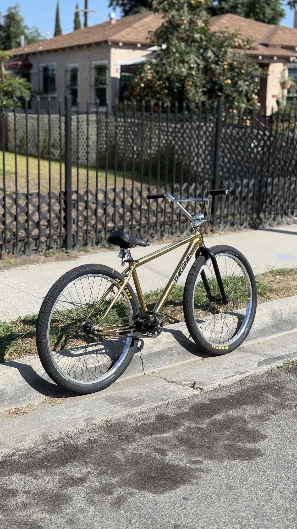 Throne 29er