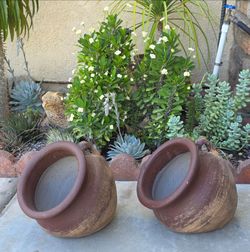 Clay pots