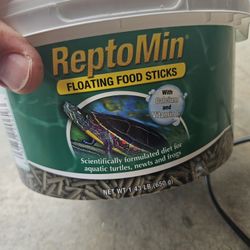 Turtle Food And Light 