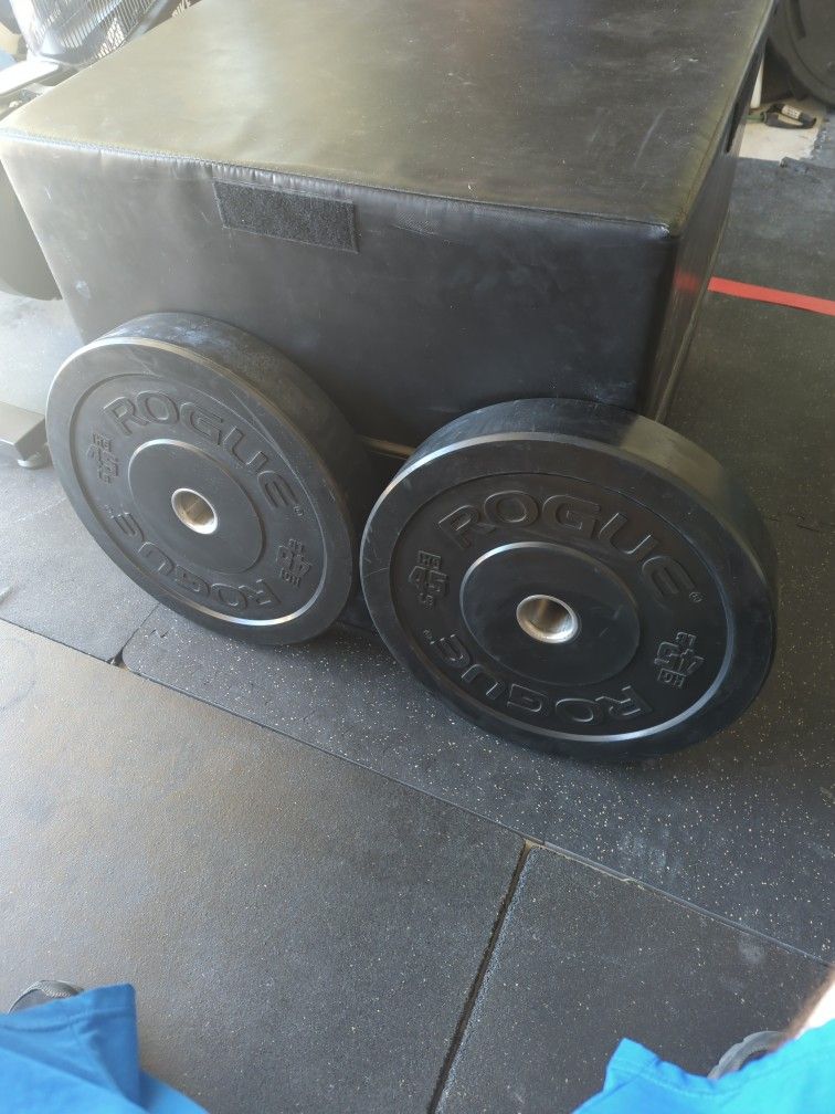 PENDING - Rogue 45 lb  HG Bumper Plates (Pair)