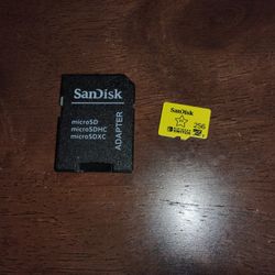 Sandisk Official Nintendo Switch SD Card
