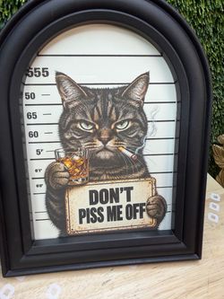Funny cat picture