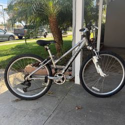 Diamondback Lustre 2 Mountain Bike — 26” Wheels — Aluminum Frame