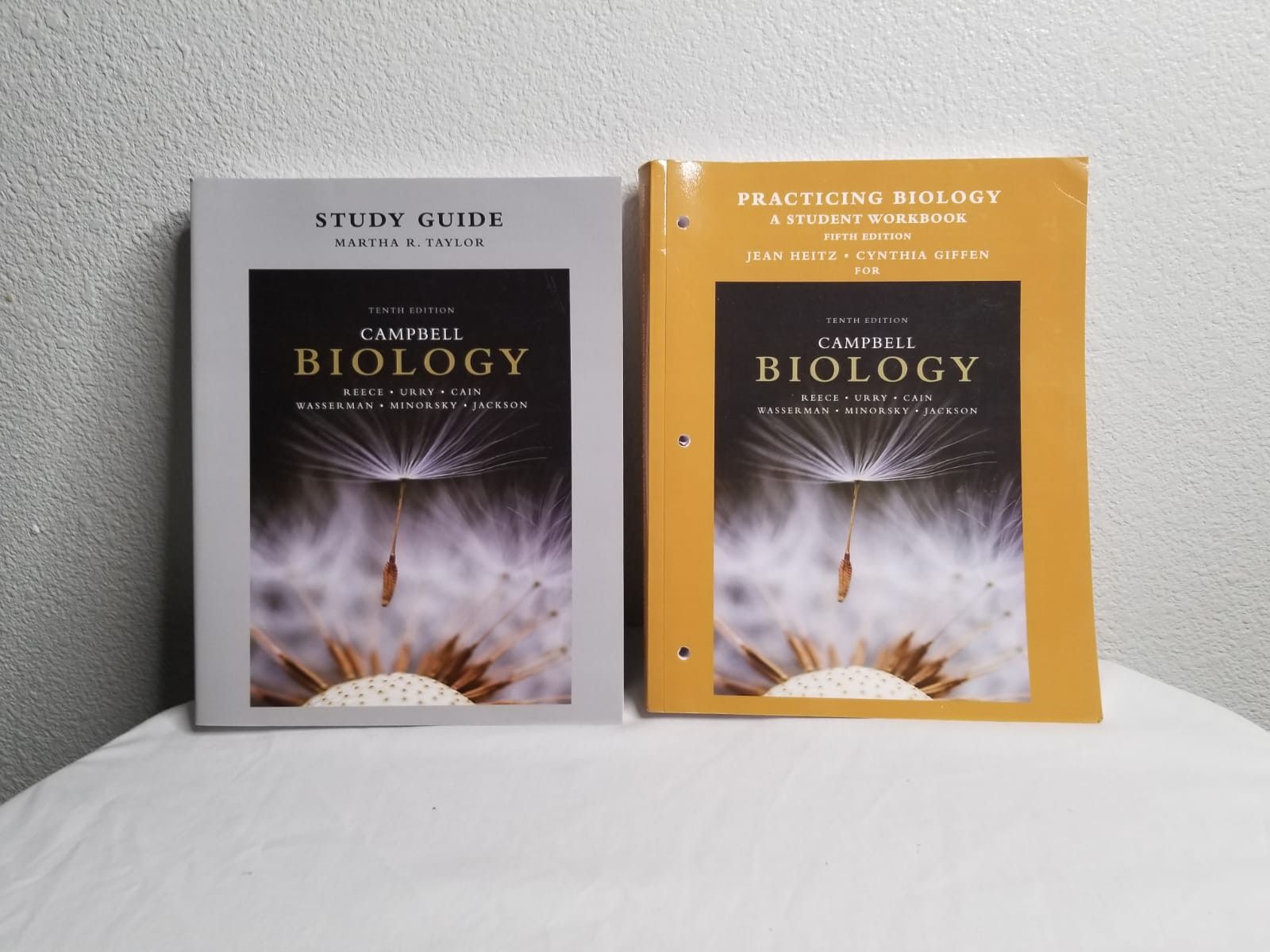 Biology Campbell 10th edition. Guide and practical books