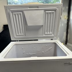 Freezer Kirkland Brand 