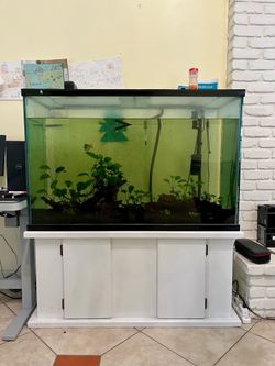 Fish Tank 45 Gallons