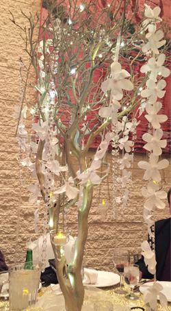 Large Manzanita Centerpiece Trees